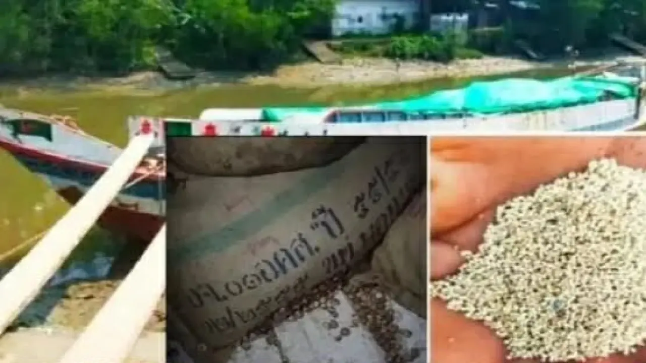 পটুয়াখালীর কালাইয়া থেকে বিপুল পরিমাণ পোস্তদানা ও সুপারি জব্দ