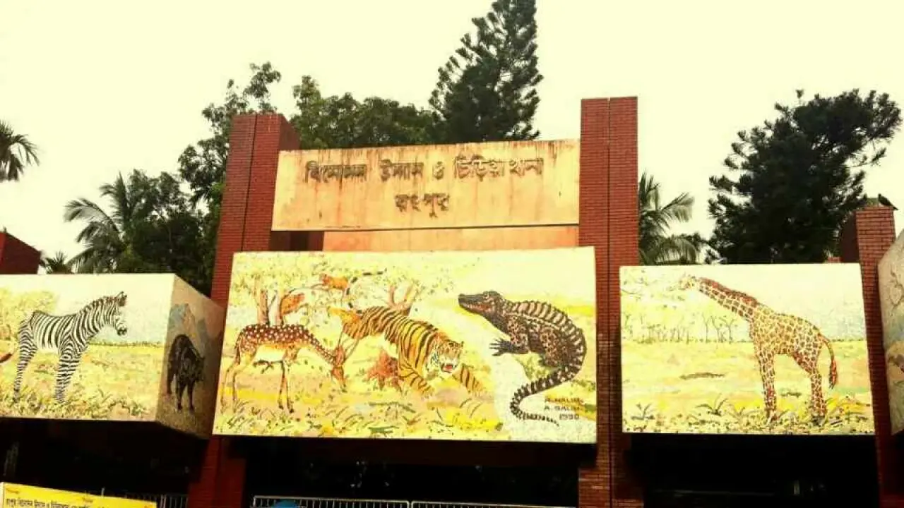 রাজা-রানীকে দেখতে রংপুর চিড়িয়াখানায় ভিড়
