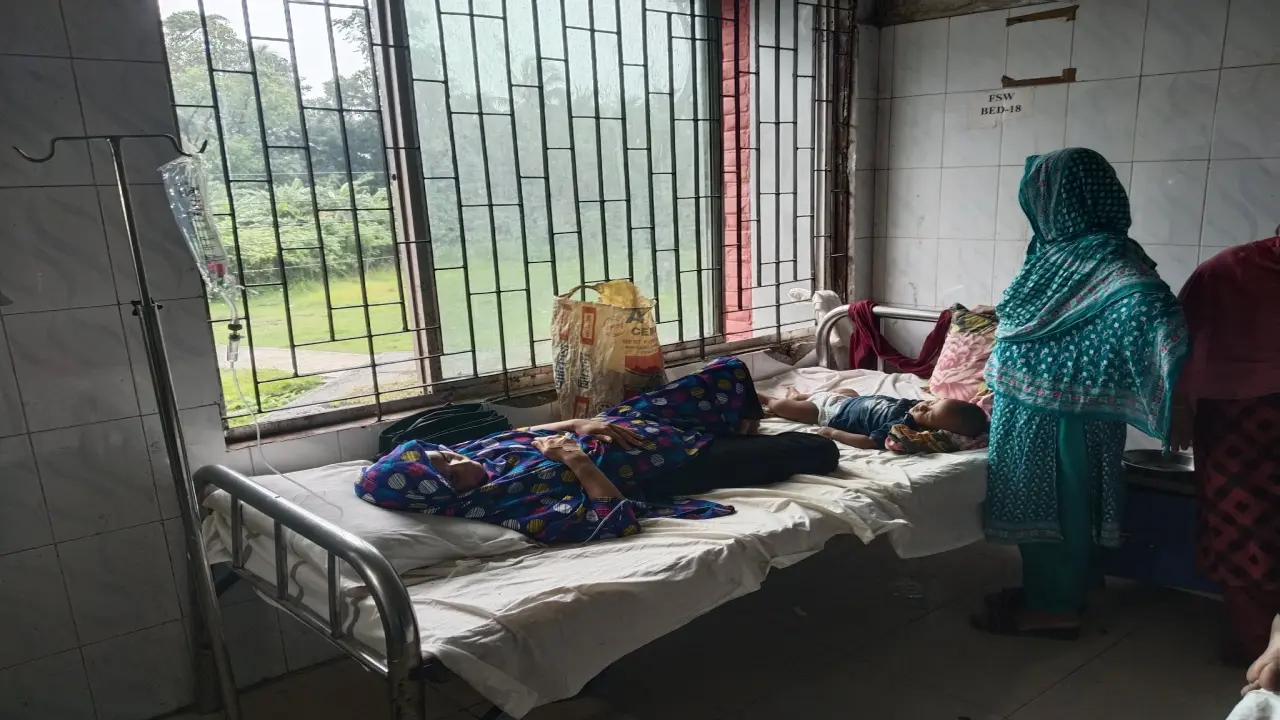 রাজাপুরে গৃহবধূকে ধর্ষণচেষ্টা, নৃশংস মারধর ও স্বর্ণালঙ্কার লুটের অভিযোগ