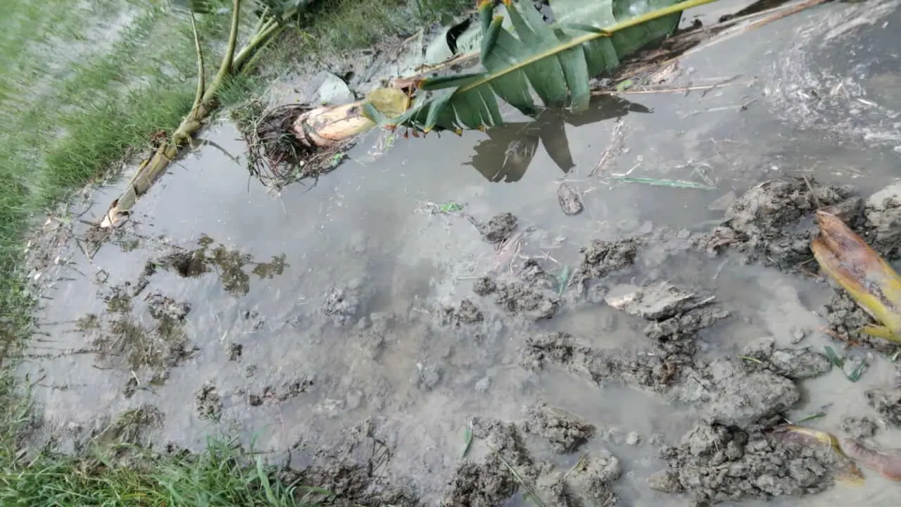 রাতের আঁধারে জমির আইল কেটে সমতল করার অভিযোগ