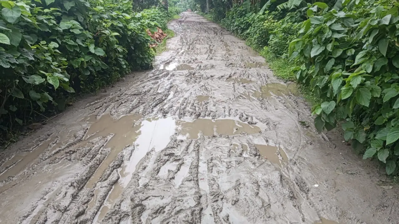 সাতলা সেতু থেকে শিবপুর পর্যন্ত সড়কের বেহাল দশা, দ্রুত সংস্কারের দাবি