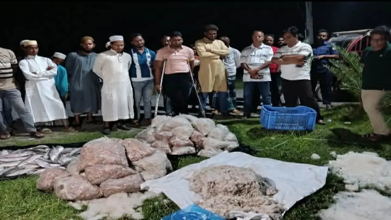 তালতলীতে সামুদ্রিক ইলিশ ও চিংড়ি মাছ জব্দ, এতিমখানায় বিতরণ
