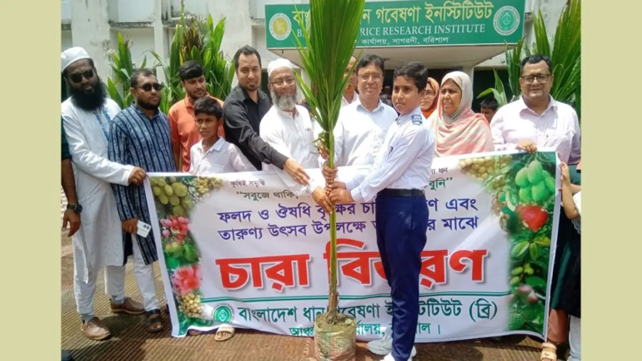 তারুণ্যের উৎসব  উপলক্ষ্যে শিক্ষার্থীদের মাঝে  নারিকেলের চারা বিতরণ