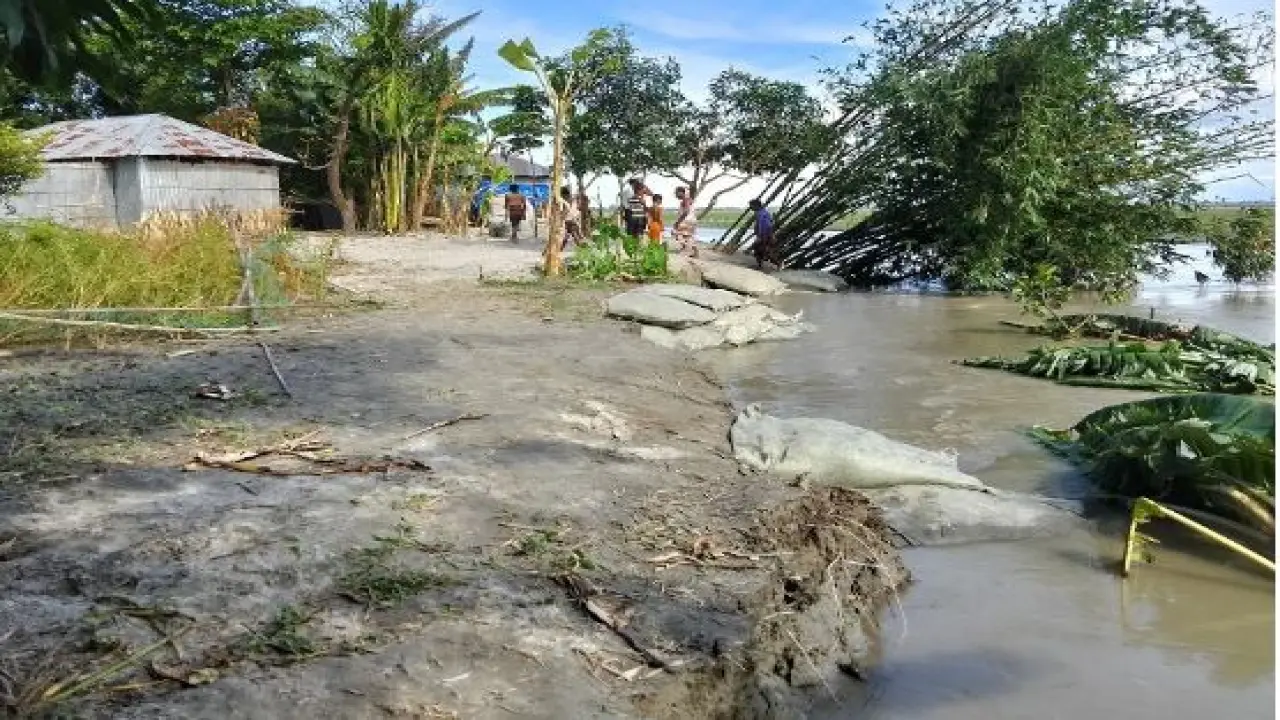 তিস্তার ভাঙ্গনে নেই কোন প্রতিকার ফসলী জমি ভাঙ্গন আতঙ্কে অর্ধশতাধিক পরিবার
