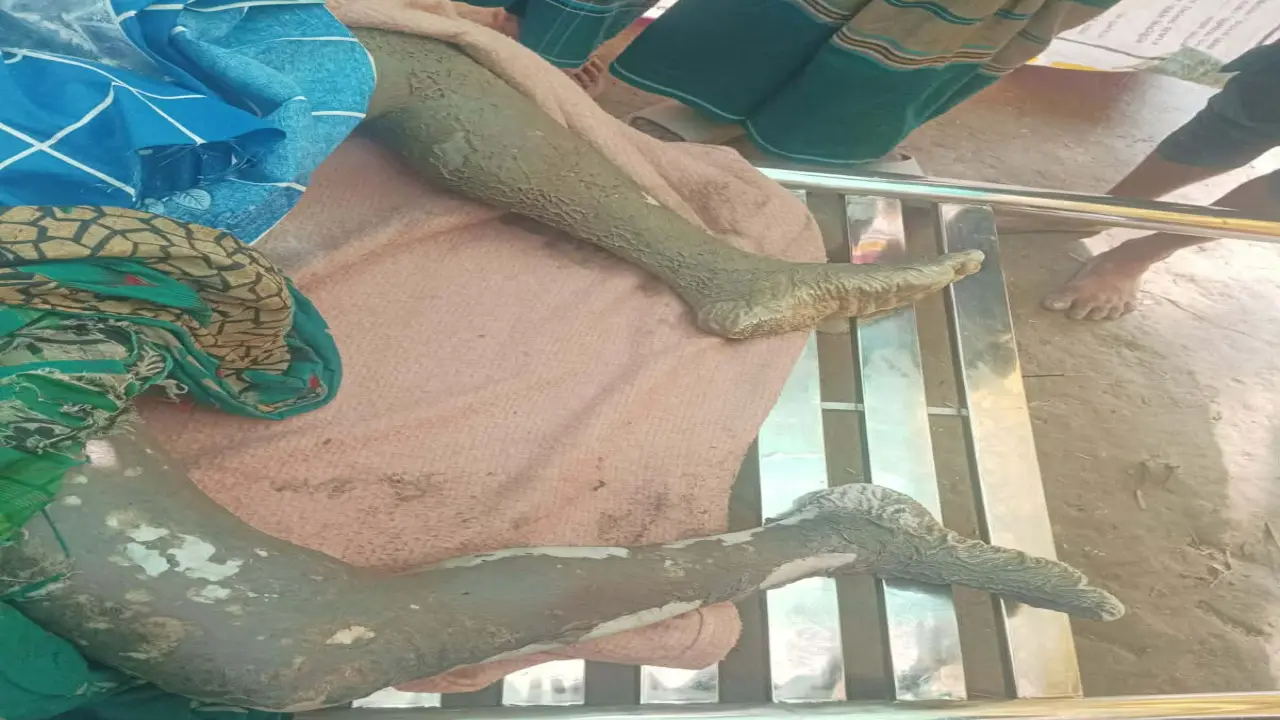 ট্রলার ডুবির ১০ দিন পর নিখোঁজের নিখোঁজ ৪ জেলের মধ্যে দুজনের ভাসমান লাশ উদ্ধার