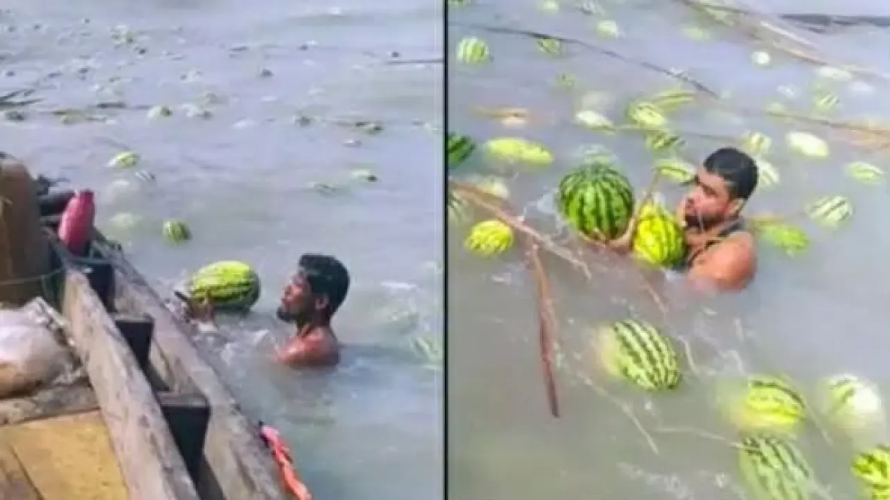 তরমুজবোঝাই ট্রলার ডুবে ভেসে গেল কৃষকের স্বপ্ন
