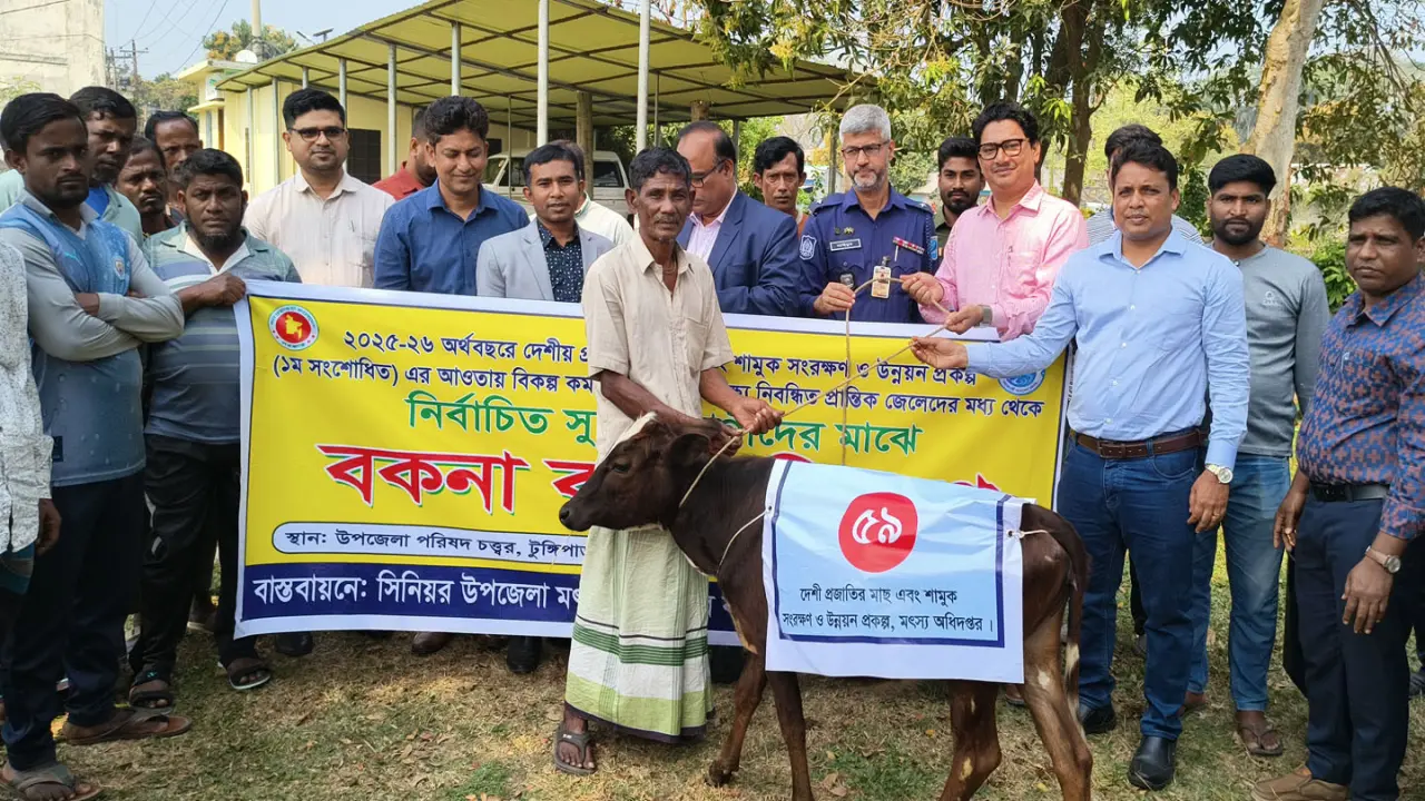 টুঙ্গিপাড়ায় বিকল্প কর্মসংস্থানের লক্ষ্যে জেলেদের বকনা বাছুর বিতরণ