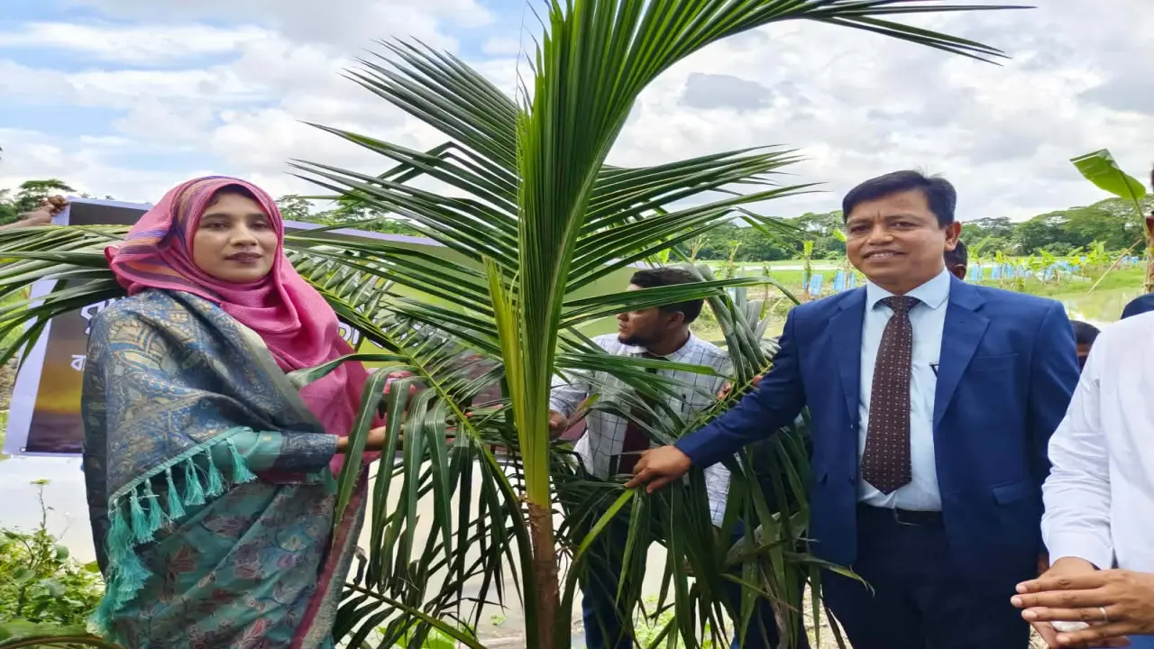 উপকূল রক্ষায় সবুজের লড়াই, বরগুনায় পূবালী ব্যাংকের ২১শত বৃক্ষরোপণ