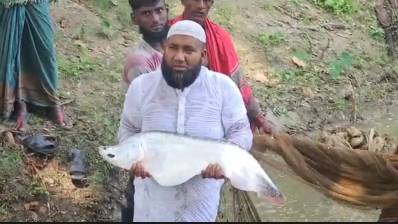 ভোলায় মৎস্য চাষে আমির হোসেনের ভাগ্য বদল, পেয়েছেন জাতীয় পর্যায়ে স্বীকৃতি ও বিভিন্ন পুরস্কার