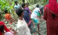বিএনপি নেত্রীর জমি দখল করে  জোরপূর্বক রাস্তা নির্মানের  অভিযোগ