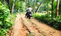 দুই যুগেও সংস্কার হয়নি সিংহেরকাঠি-ছোট মীরগঞ্জ সড়ক, দুর্ভোগে হাজারো মানুষ।