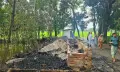 দুমকিতে সাবেক ইউপি চেয়ারম্যান'র গোয়ালঘরে আগুন আড়াই লক্ষাধিক টাকার ক্ষয়ক্ষতি।