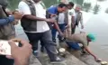 গলাচিপায় ১৭টি সন্ধি কচ্ছপসহ ১ জন আটক, বন বিভাগের অভিযান