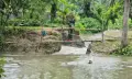 গলাচিপায় পানি নিষ্কাশনের জন্য কাটা বাঁধই এখন দুর্ভোগের কারণ, পানিবন্দী ৩ হাজার পরিবার