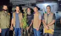 গোপালগঞ্জে গাঁজা গাছ চাষের অভিযোগে গ্রেপ্তার-১