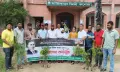 গৌরনদীতে ছাত্রদলের বৃক্ষরোপণ