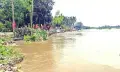 হু হু করে বাড়ছে তিস্তায় পানি