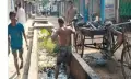 জিয়ানগরের ইউএনও’র উদ্যোগে ড্রেন পরিষ্কার