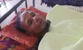 কুকুর ধরলো চোর!