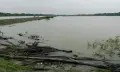 রাঙ্গবালীধীন চালিতাবুনিয়া ইউনিয়নে অবৈধ ঘের করা এবং ইজারাকৃত বৈধ খাল দখলের পায়তারার অভিযোগ