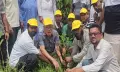 স্বেচ্ছাসেবক দলের প্রতিষ্ঠাবার্ষিকীতে বৃক্ষরোপ কর্মসূচী অনুষ্ঠিত