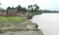 তিস্তার ৩০ পয়েন্টে তীব্র ভাঙন, বিলীন হচ্ছে ভিটেমাটি ফসলি জমি
